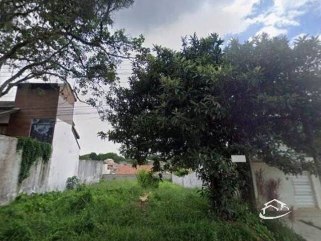 Terreno para Venda em Guaratinguetá - 4