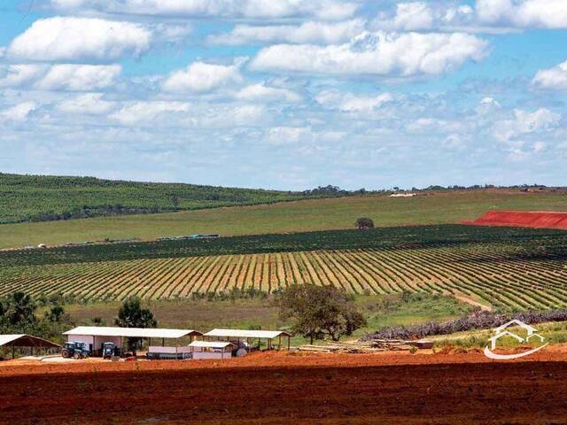 #2411 - Fazenda para Venda em Francisco Dumont - MG - 1