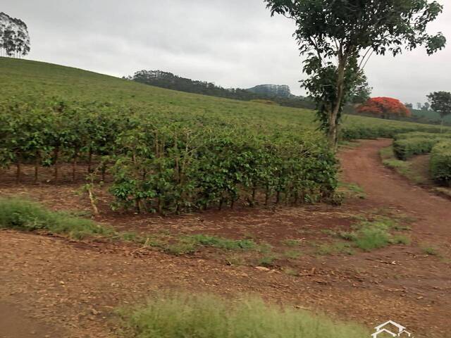 #2417 - Fazenda para Venda em Iaras - SP - 3