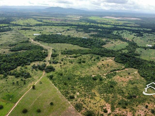 #2449 - Fazenda para Venda em Palmas - TO - 1