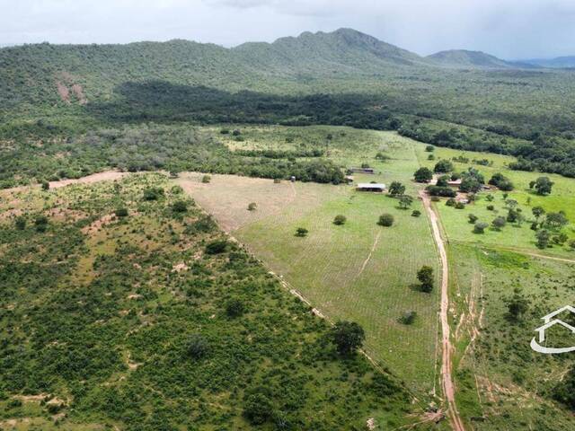 #2449 - Fazenda para Venda em Palmas - TO - 3