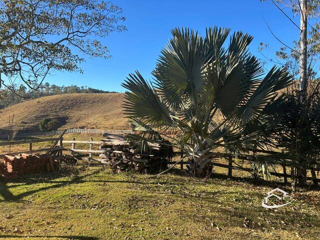 Sítio para Venda em Silveiras - 5