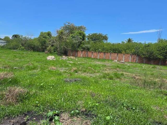 Terreno para Venda em Lorena - 5
