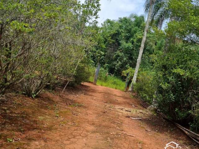 #2598 - Sítio para Venda em Lorena - SP - 3