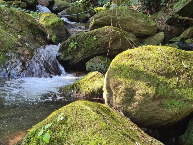 #2619 - Chácara para Venda em Guaratinguetá - SP