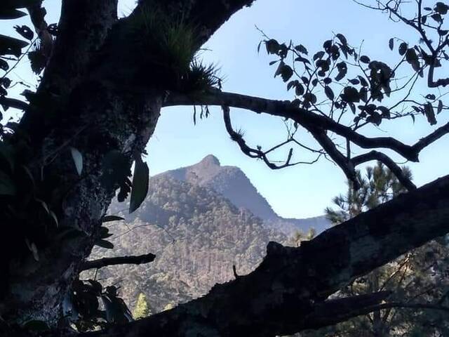 Sítio para Locação em Lorena - 4