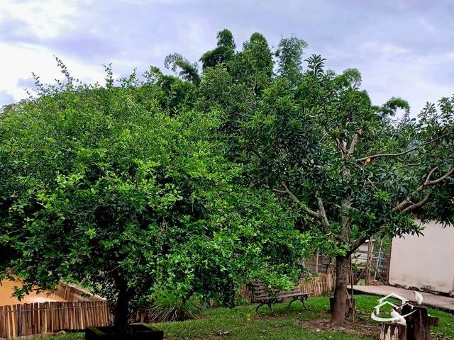 Chácara para Venda em Lorena - 2
