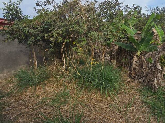 Terreno para Venda em Lorena - 3