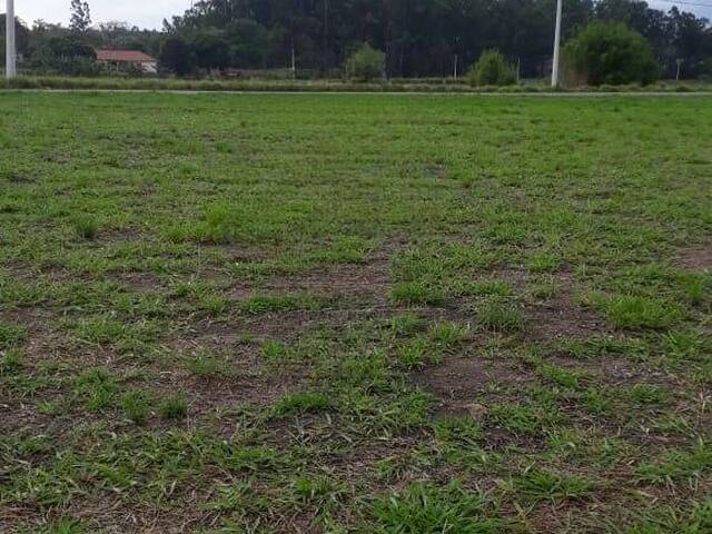 #2885 - Terreno para Venda em Pindamonhangaba - SP - 3